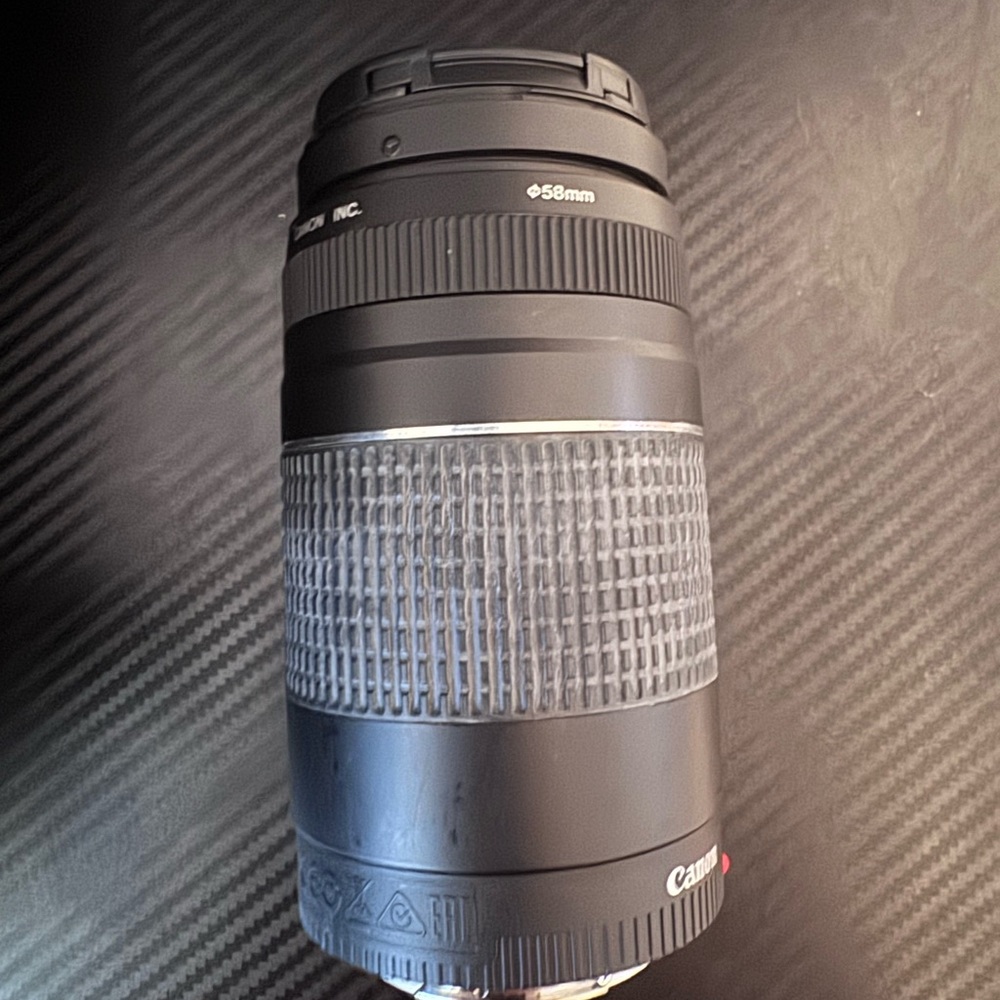 Canon Rebel T6